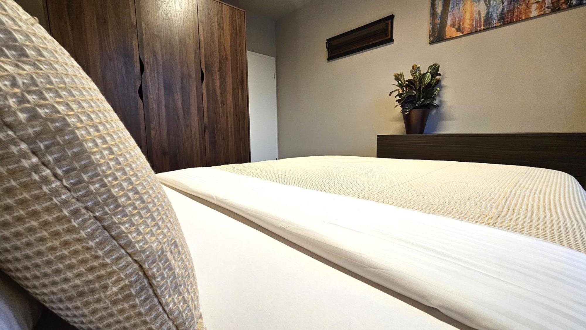 Downtown Dream Apartment Kaloşvar Dış mekan fotoğraf